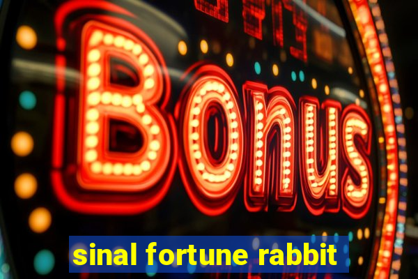 sinal fortune rabbit