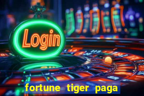 fortune tiger paga de madrugada