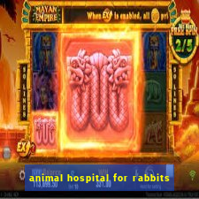 animal hospital for rabbits