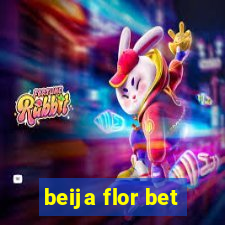 beija flor bet