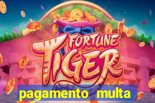 pagamento multa detran mg