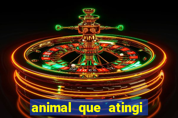 animal que atingi 230 decibeis