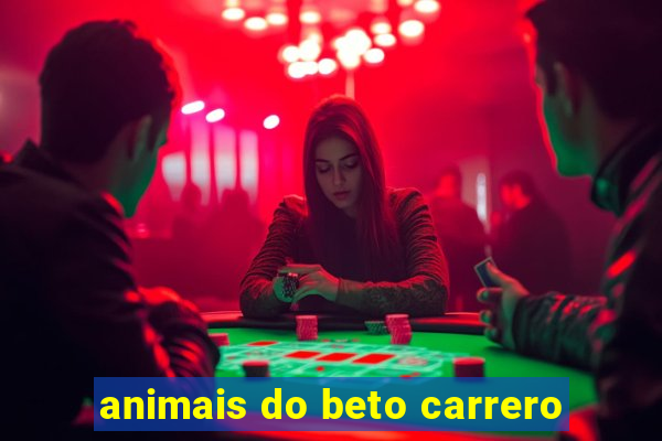 animais do beto carrero