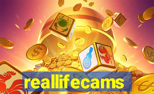 reallifecams